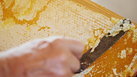 the beekeeper opens a honeycomb with a special knife for the subsequent pumping of honey 4k video