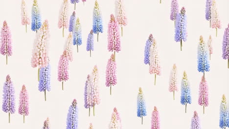 floral lupine pattern background