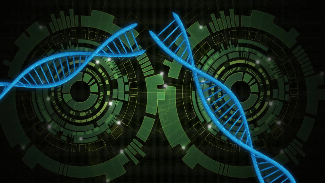 DNA strands and digital circuits, scientific data processing animation