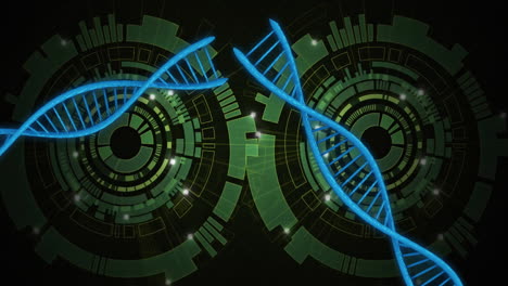 dna strands and digital circuits, scientific data processing animation