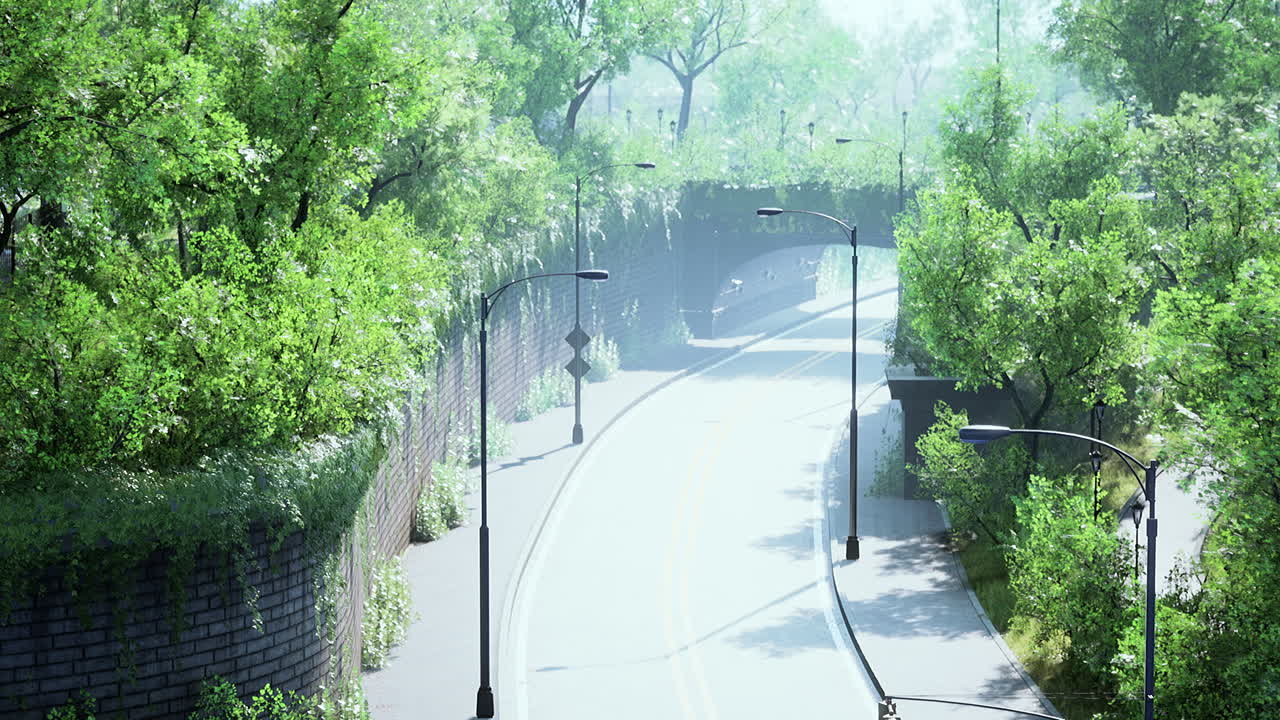 시골 아스팔트 도로와 녹색 나무 자연 풍경 여름에