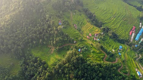 una vista de pájaro sobre las hermosas terrazas de los campos de arroz en nepal, tomada por un avión no tripulado