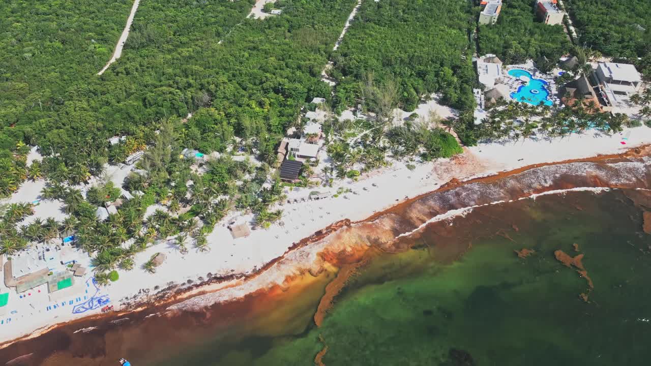 Mexican holiday destination, Sargassum shoreline, aerial costal reveal