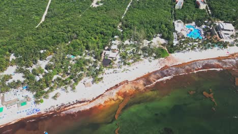 mexican holiday destination, sargassum shoreline, aerial costal reveal