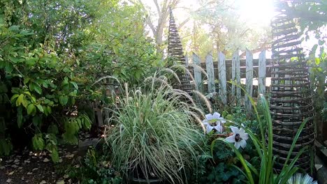 un jardín doméstico detrás de una valla en el sol durante el día filmado con una lente de gran ángulo