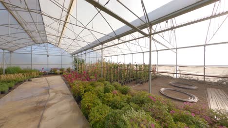 Drone-footage-of-the-growth-stages-of-the-seedlings-in-the-greenhouse