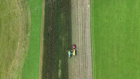 red tractor with trailer collecting seed and corn after combine harvester cutting plants on field