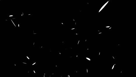 white feathers soaring particles motion graphics