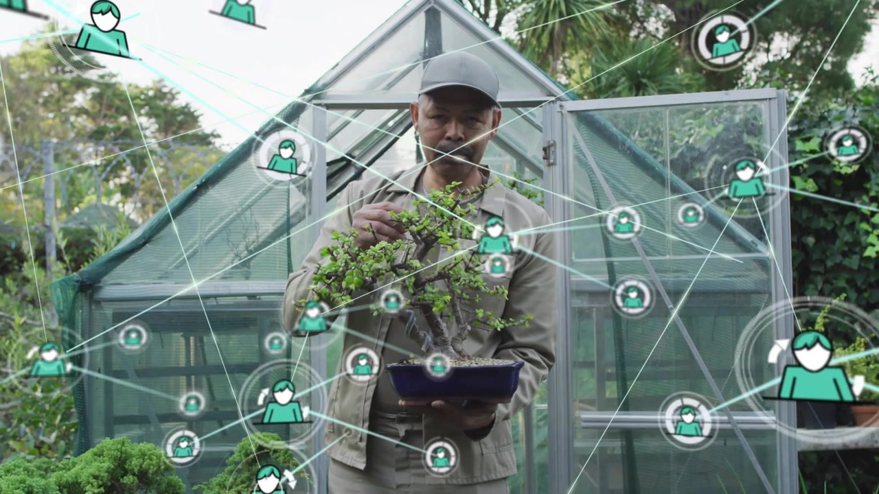 Gardener pruning bonsai for shaping, handling plant causing network icons linking and filling frame