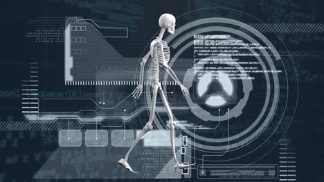 Animación-Del-Esqueleto-Humano,-Escaneo-De-Alcance-Sobre-Procesamiento-De-Datos