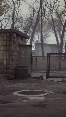 abandoned outbuilding in foggy autumn park