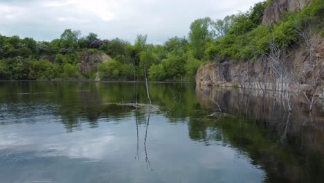 flying above the surface of a flooded quarry filled with tree branches