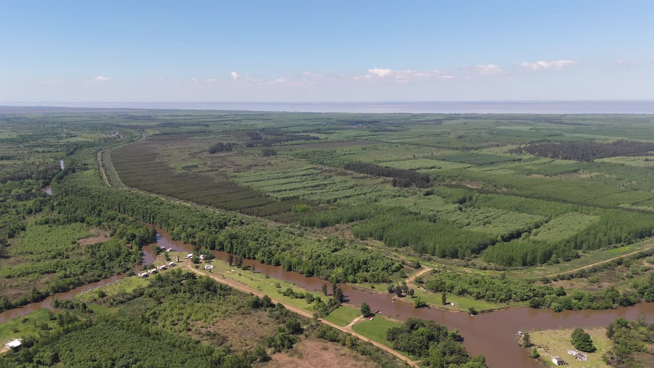 Aerial view of large area of ​​recovered forest in Parana River Delta, Argentina