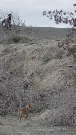hunting with a dog in a rural landscape