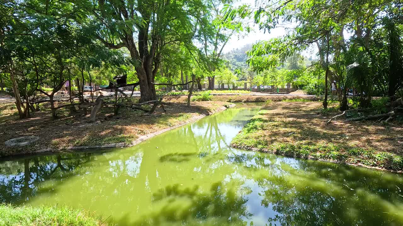 울창한 초록색으로 둘러싸인 평화로운 하천