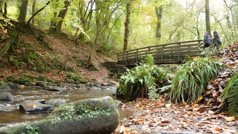 puente de madera que cruza la corriente que fluye natural en el desierto del bosque del otoño muñeca baja izquierda