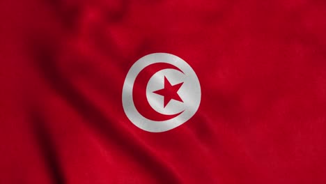 tunisia flag waving in the wind. national flag of tunisia. 4k