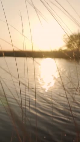 sunset over a river with reflections