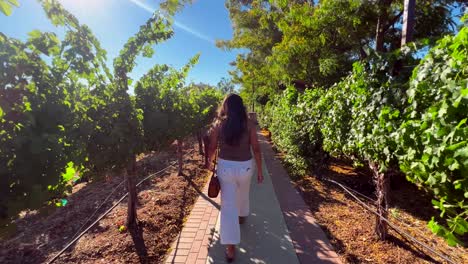 woman walking through vineyard in temecula on clear sunny day