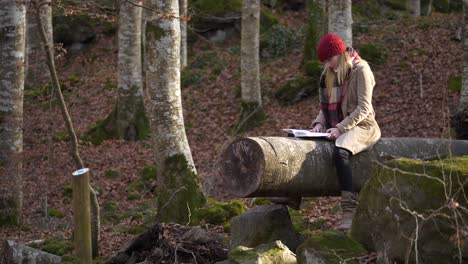 Frau,-Die-Auf-Baumstamm-Sitzt-Und-Buch-Im-Wald-Liest