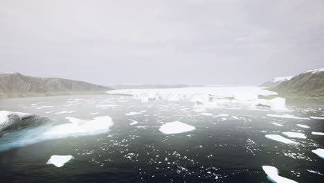 vast icy landscape with drifting icebergs under a cloudy sky