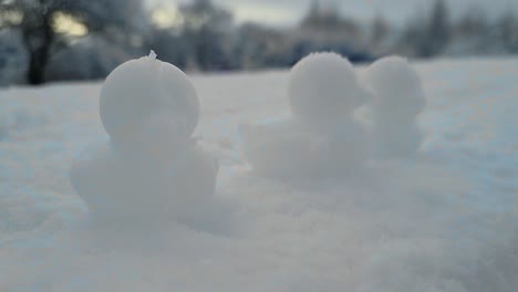 collection of shaped snow ducks decoration sitting in a row in snowy winter landscape