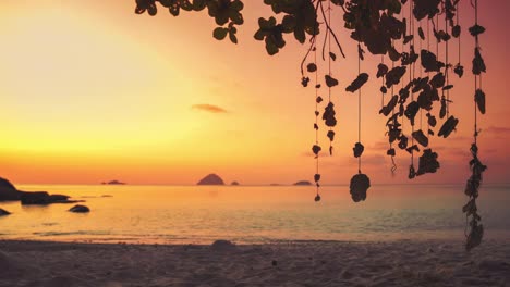 cinemagraph ciclo de video sin fisuras de un atardecer rojo vibrante y conchas en una remota playa de arena tropical asiática en la isla de perhentian, malasia con un árbol enorme y vista panorámica del mar. cielo azul y agua turquesa en el pintoresco lugar de vacaciones turísticas.