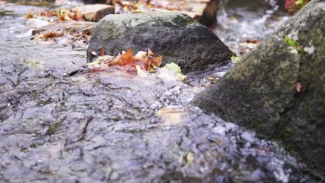 Agua-Corriendo-En-Un-Jardín-Japonés-En-Worclaw