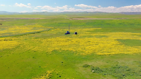 Aerial-view-of-rural-windmill-in-a-green-field-of-yellow-wildflowers