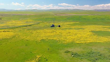 Luftaufnahme-Einer-Ländlichen-Windmühle-In-Einem-Grünen-Feld-Mit-Gelben-Wildblumen