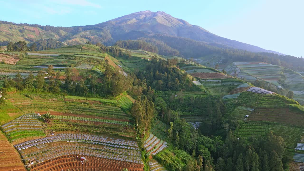 drone vuela sobre el campo agrícola tropical en la ladera de la montaña