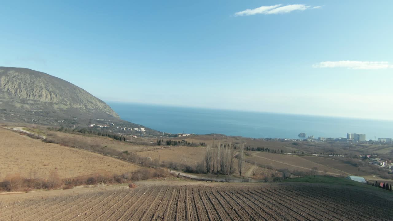 산과 바다를 볼 수 있는 포도원 풍경