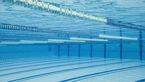 olympic swimming pool under water background.