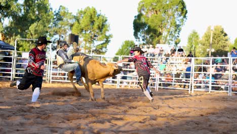 rodeo participants dodging a charging bull