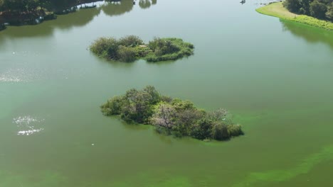 drone aerial, bird island on man made lake with algae bloom and sun streaks