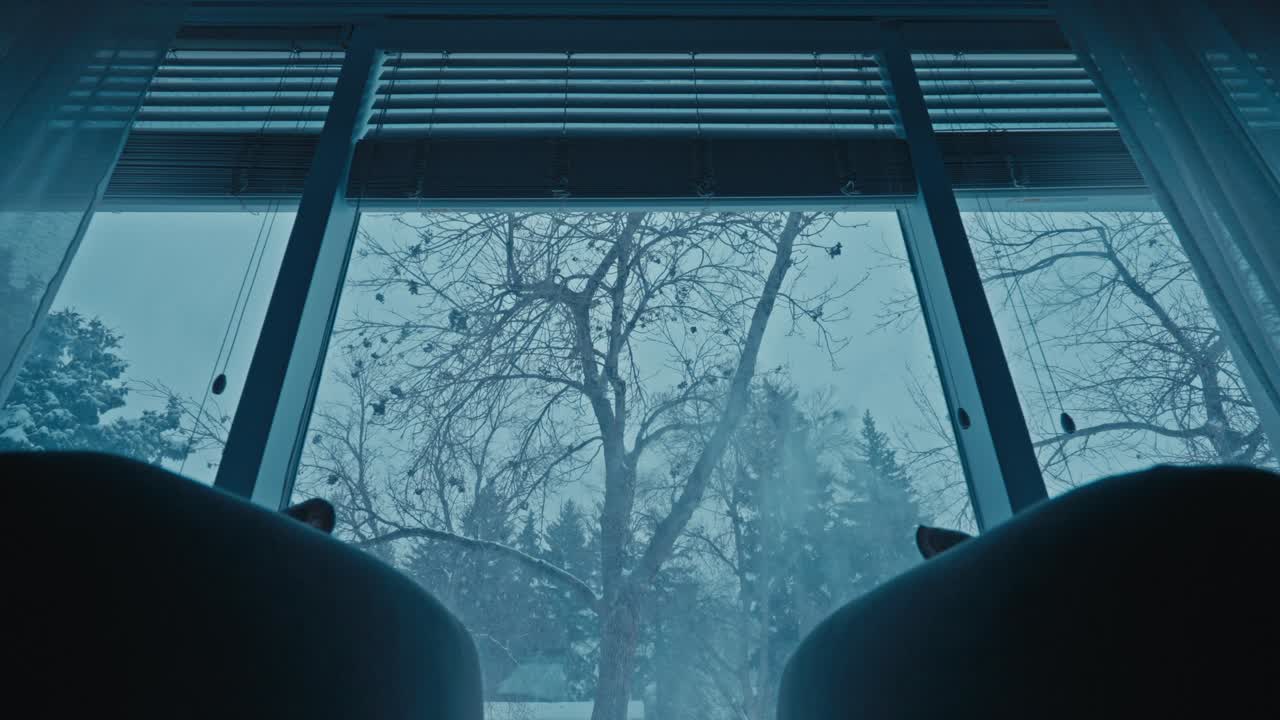 Staattinen sisäkuva olohuoneesta, näyttäen lumisateen ja lumimyrskyn suuren ikkunan läpi, ulkona näkyvän lumisen puun kera.