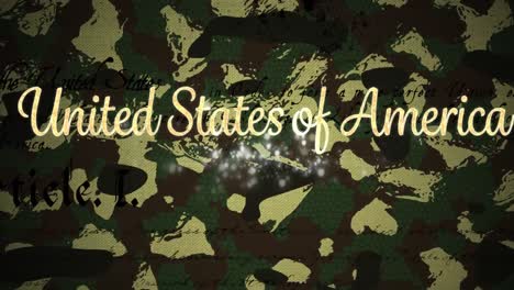 United-states-of-america-text-and-constitution-script-against-camouflage-background