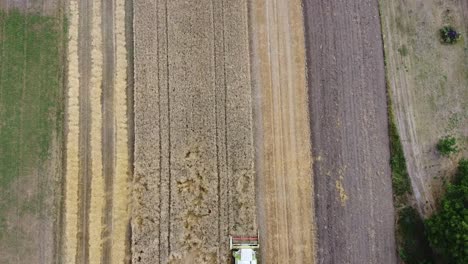 Drohnenflug-über-Mähdrescher,-Der-Getreide-Erntet