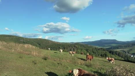 fotografía cinematográfica: vacas pastando en una colina verde vibrante con montañas onduladas y nubes esponjosas en un cielo azul claro en un día de verano