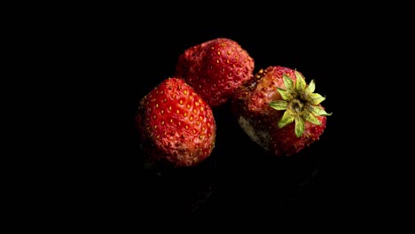 strawberry rots on a black background, time lapse, macro photography