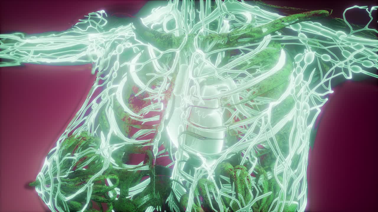 빛나는 혈관으로 된 인체
