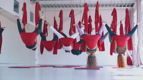 skilled ladies group hang upside down holding hammocks