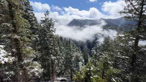 Hike-up-to-Mt-Storm-King-in-Washington-State-with-snow-on-the-trees-and-clouds-below-the-mountain-peaks