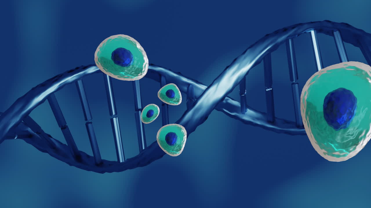 파란색 배경에 있는 인체 세포와 dna 가닥의 애니메이션