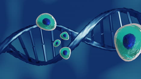 animación de células del cuerpo humano y cadena de adn sobre fondo azul