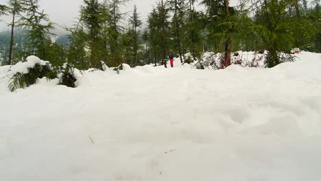 Snow-White-in-kashmir-covered-hills-mountains-plants-valley