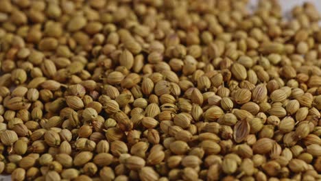 coriander seeds closeup, parallax shot, 4k.