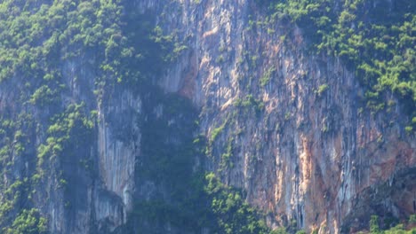 Un-Primer-Plano-De-Un-Fenómeno-Natural-Impresionante-De-Una-Montaña-Rocosa-En-La-Que-Crece-La-Selva