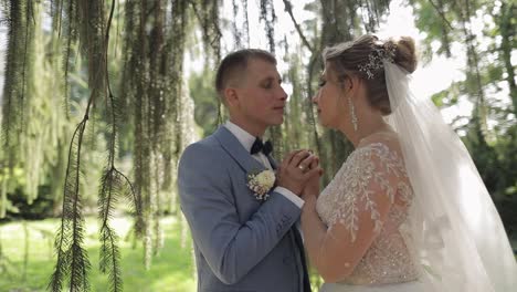 bride and groom kiss under a tree