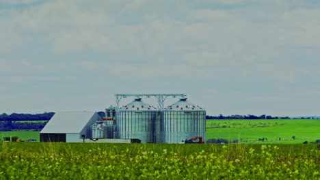 Establishing-fixed-shot-of-agriculture-grain-bin-silo-containers-on-a-rural-farm-field